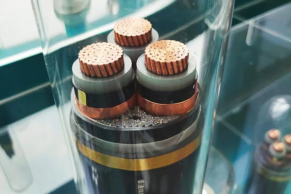 Põhjalik teenindustugi